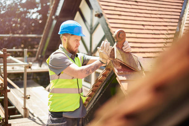 Best Roof Gutter Cleaning  in New Rochelle, NY
